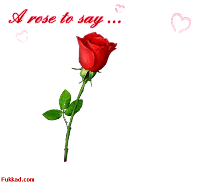 i love you